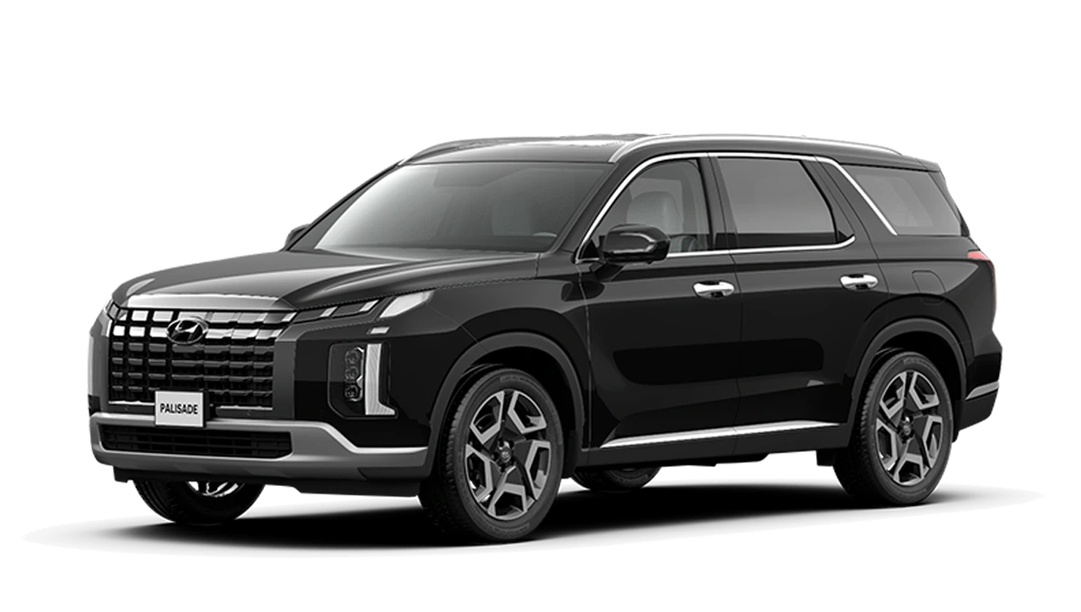 Hyundai Palisade Hậu Giang